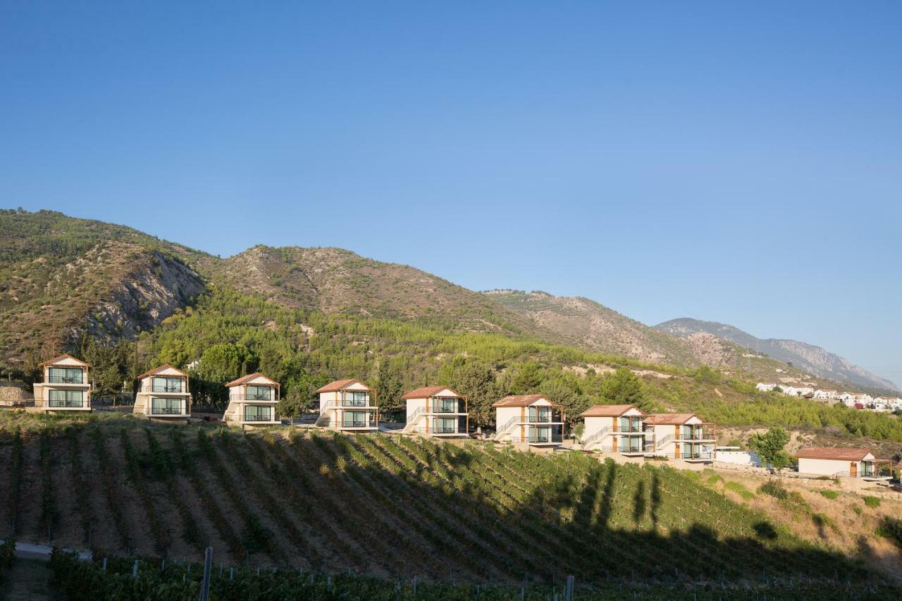 Gillham Vineyard Hotel Templos Exterior photo